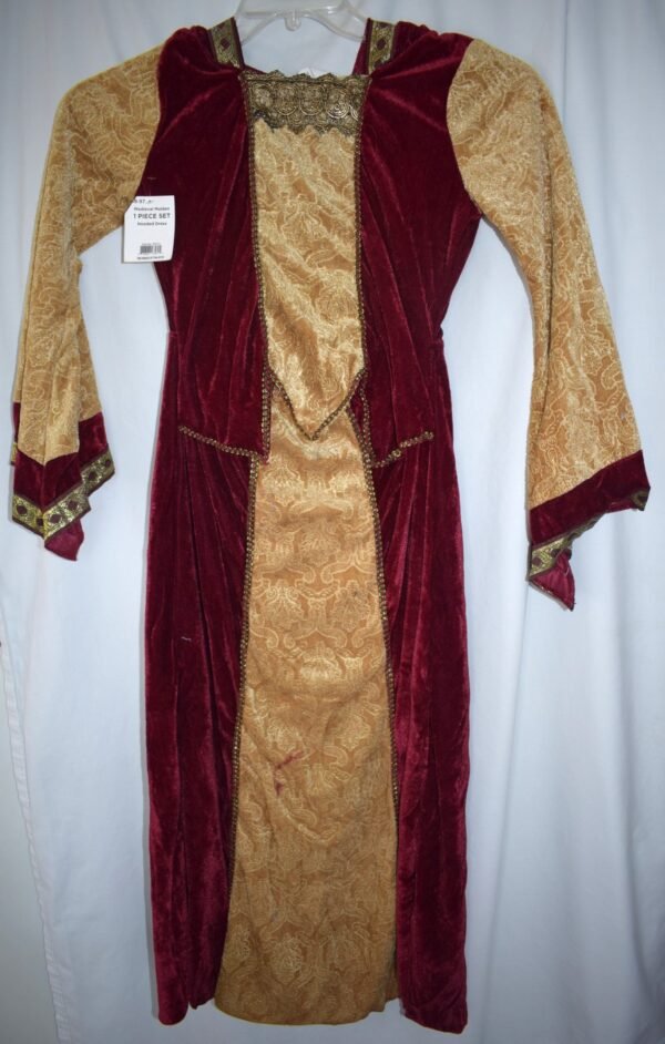 NWT Medieval Maiden 1 Piece Hooded Dress Halloween Costume Girls Size Large