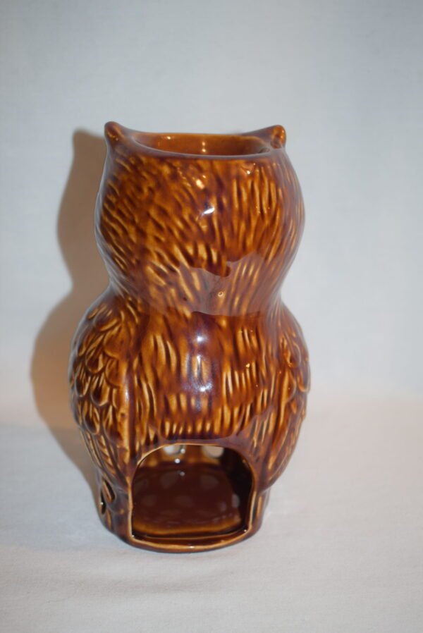 Pier 1 Porcelain Owl Wax Oil Warmer EUC - Image 3