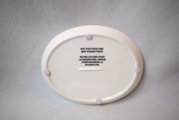 Pier 1 Dreaming Of Pretty Little Things Oval Trinket Dish In Original Box - Image 2