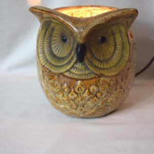 Vintage Intertek 6 Inch Ceramic Owl Lamp Night Light Wax Warmer